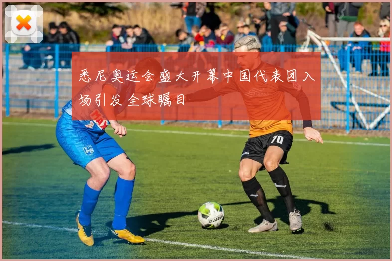 悉尼奥运会盛大开幕中国代表团入场引发全球瞩目